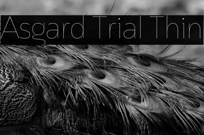 Asgard Trial Thin Font examples