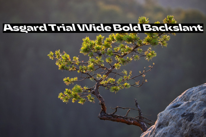 Asgard Trial Wide Bold Backslant Example 1