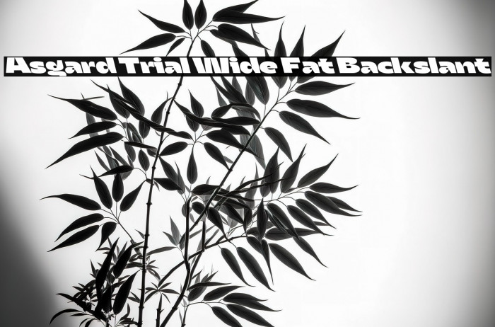 Asgard Trial Wide Fat Backslant Example 3