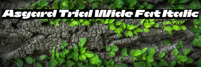 Asgard Trial Wide Fat Italic Example 3