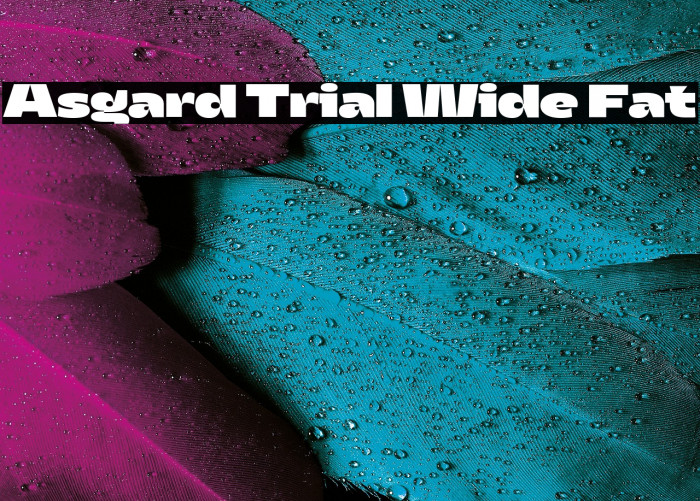 Asgard Trial Wide Fat Example 3