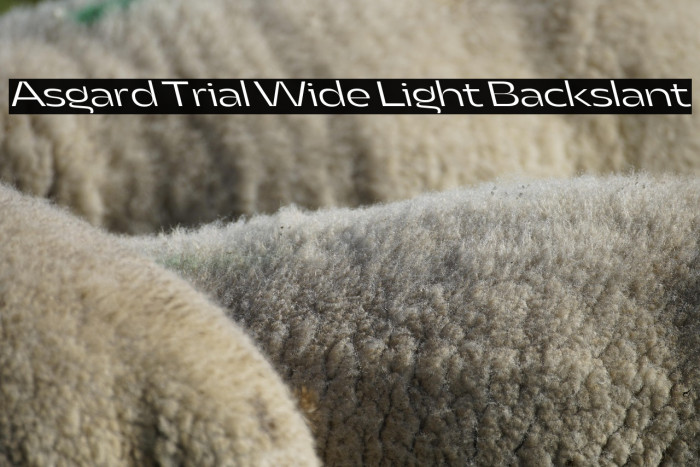 Asgard Trial Wide Light Backslant Example 3