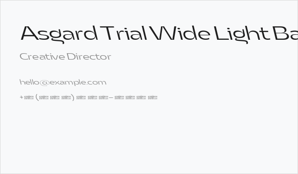 Asgard Trial Wide Light Backslant Business Card