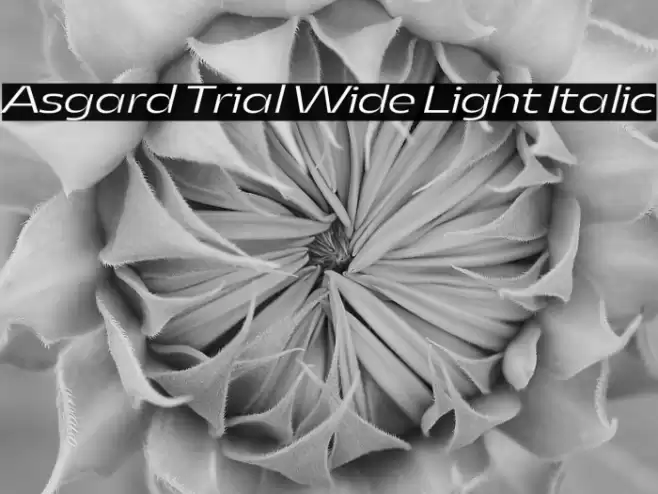 Asgard Trial Wide Light Italic Font examples