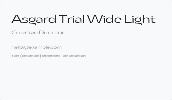 Asgard Trial Wide Light Business Card