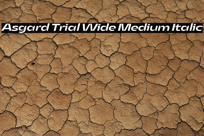 Asgard Trial Wide Medium Italic Example 1