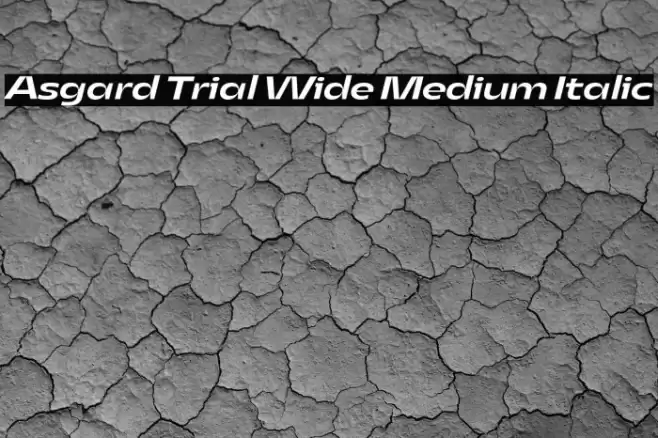 Asgard Trial Wide Medium Italic Font examples