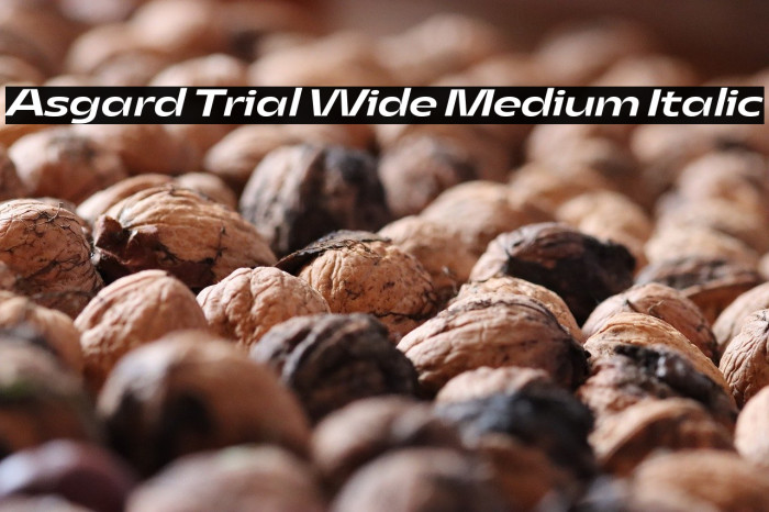 Asgard Trial Wide Medium Italic Example 3
