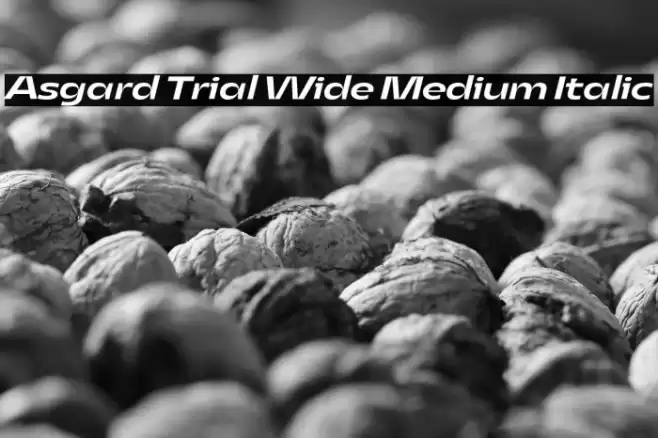 Asgard Trial Wide Medium Italic Font examples