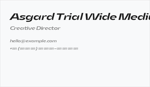 Asgard Trial Wide Medium Italic Business Card