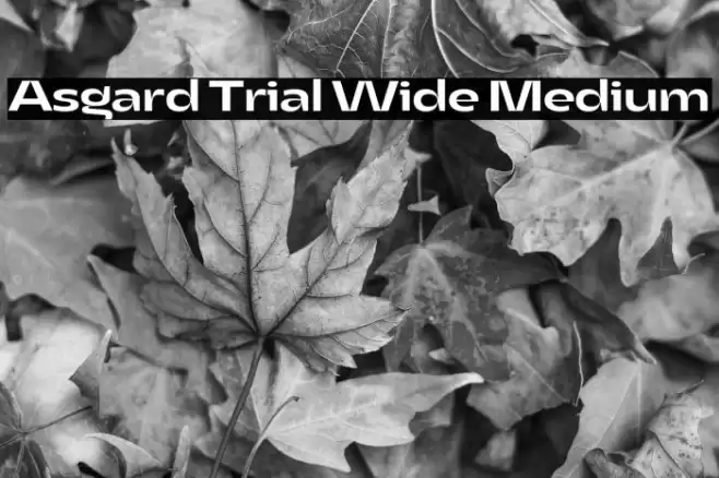 Asgard Trial Wide Medium Font examples