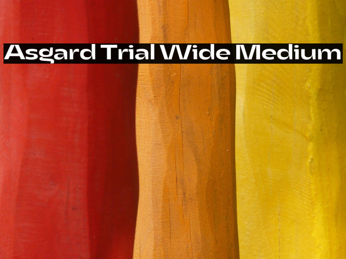 Asgard Trial Wide Medium Example 2