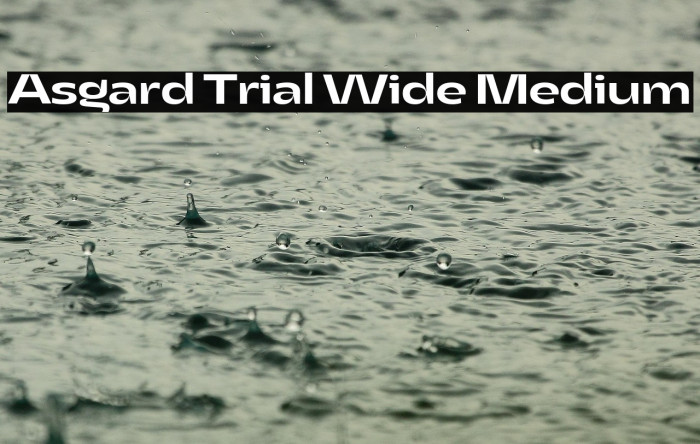 Asgard Trial Wide Medium Example 3