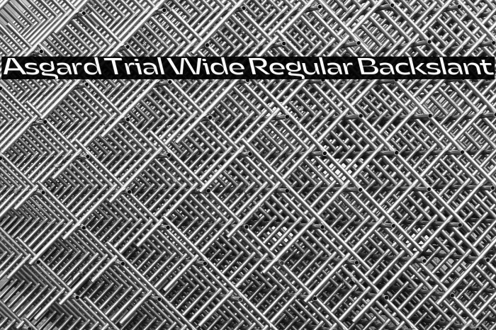 Asgard Trial Wide Regular Backslant Example 3