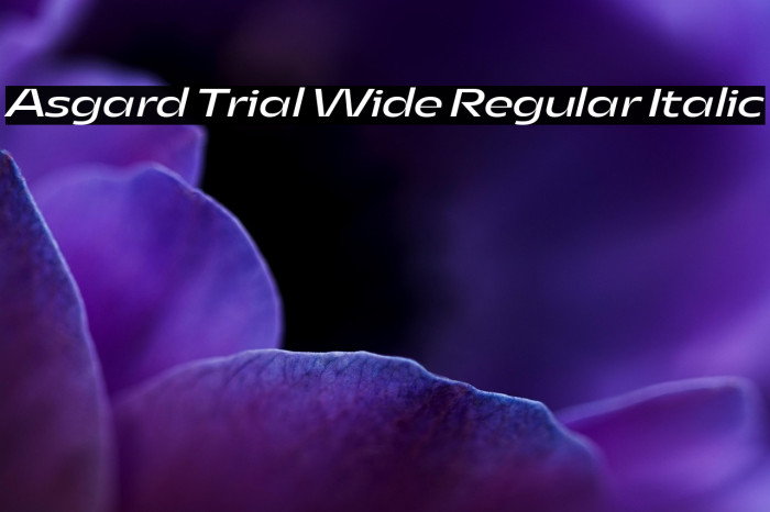 Asgard Trial Wide Regular Italic Example 1