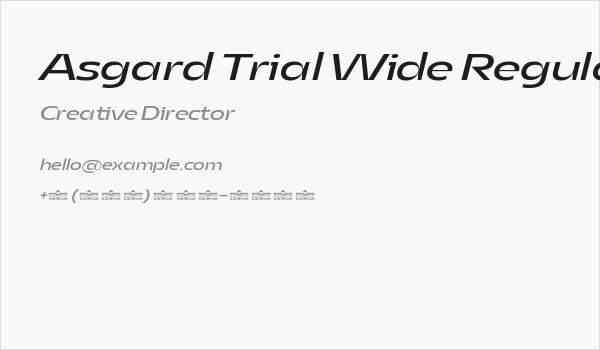 Asgard Trial Wide Regular Italic Business Card