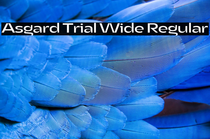 Asgard Trial Wide Regular Example 3