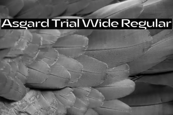Asgard Trial Wide Regular Font examples