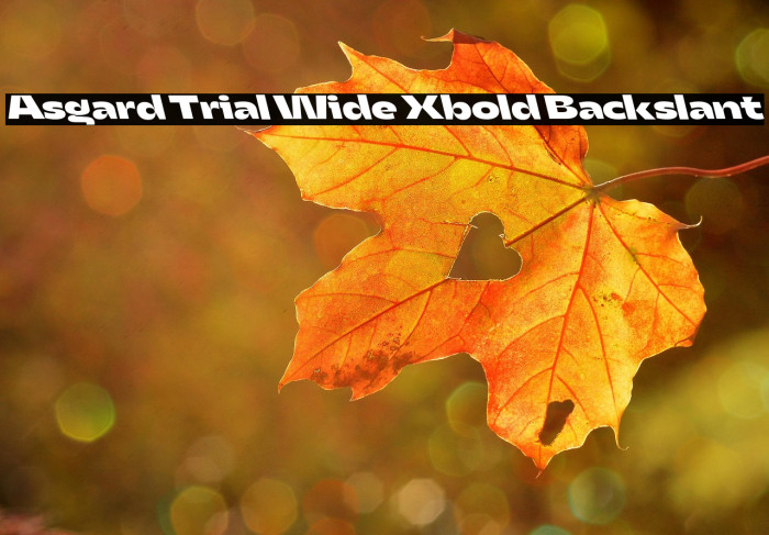 Asgard Trial Wide Xbold Backslant Example 2