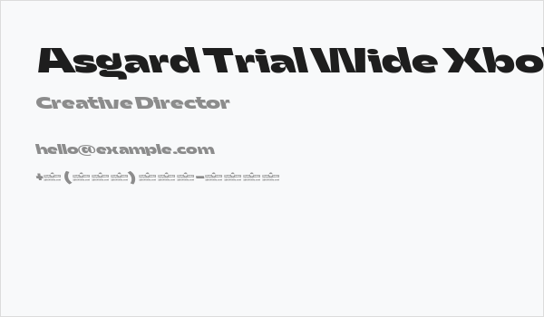Asgard Trial Wide Xbold Backslant Business Card
