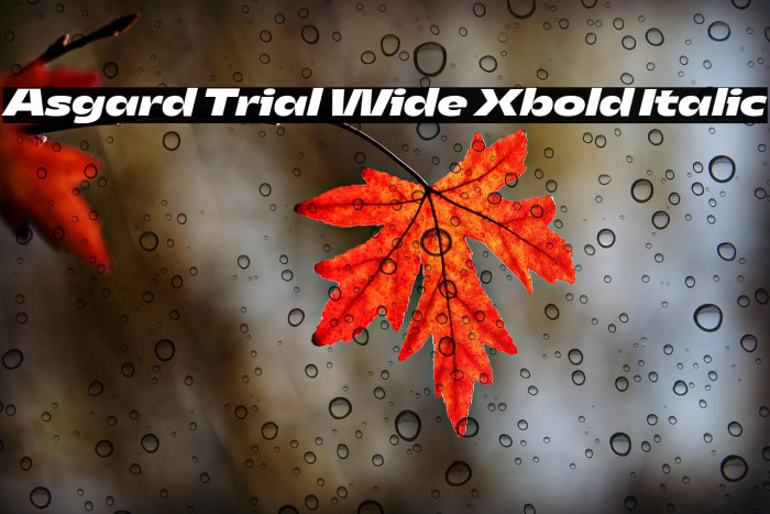 Asgard Trial Wide Xbold Italic Example 2