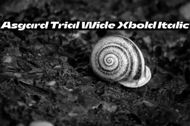 Asgard Trial Wide Xbold Italic Font examples