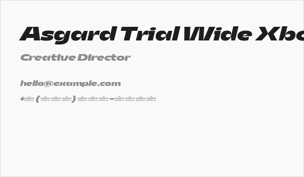 Asgard Trial Wide Xbold Italic Business Card