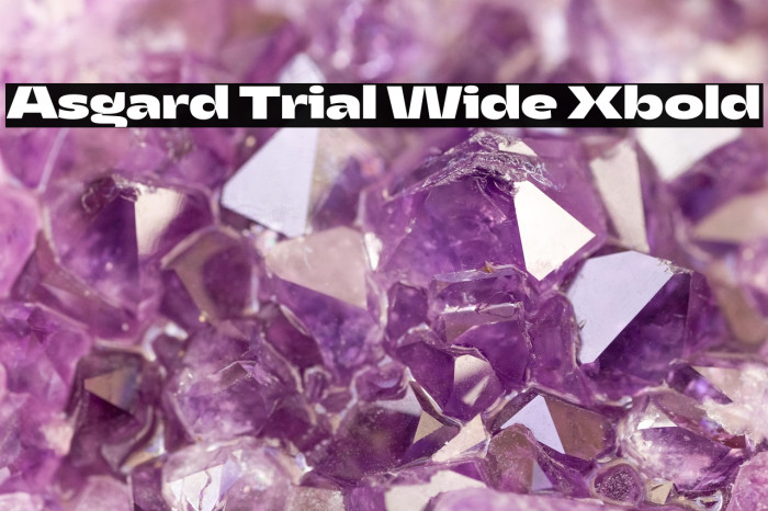 Asgard Trial Wide Xbold Example 1