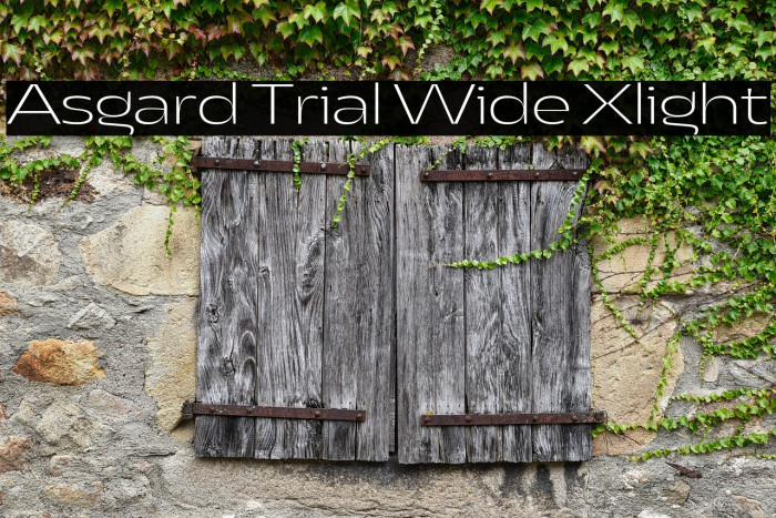 Asgard Trial Wide Xlight Example 3