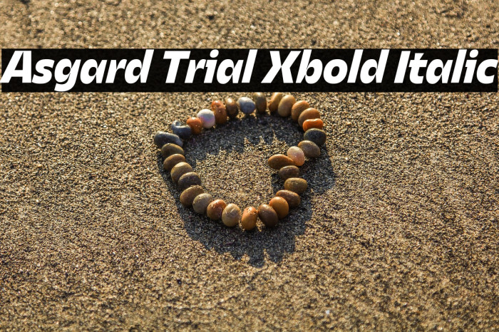 Asgard Trial Xbold Italic Example 1