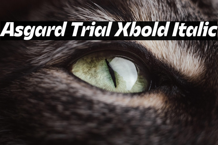 Asgard Trial Xbold Italic Example 3