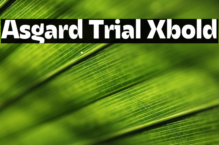 Asgard Trial Xbold Example 1