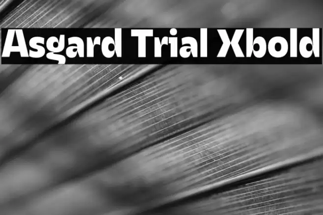 Asgard Trial Xbold Font examples