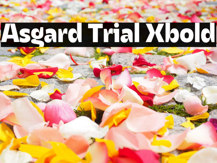 Asgard Trial Xbold Example 2