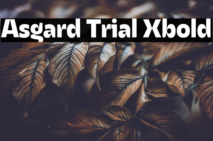 Asgard Trial Xbold Example 3