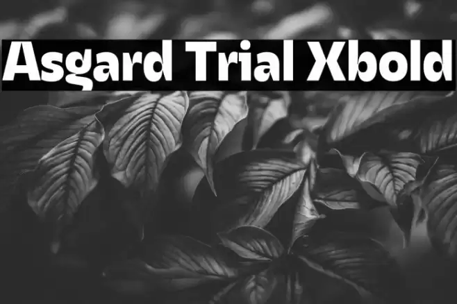 Asgard Trial Xbold Font examples