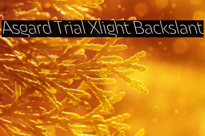 Asgard Trial Xlight Backslant Example 2