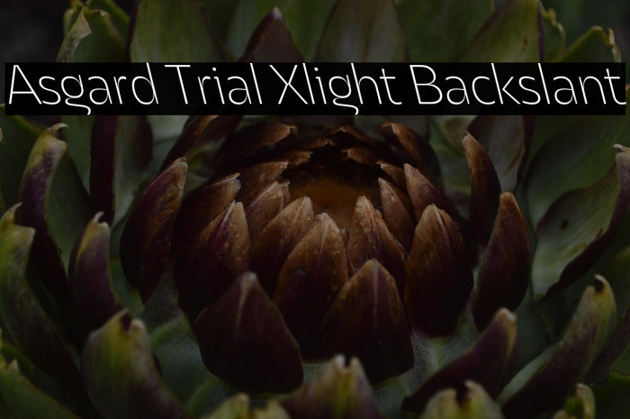 Asgard Trial Xlight Backslant Example 3