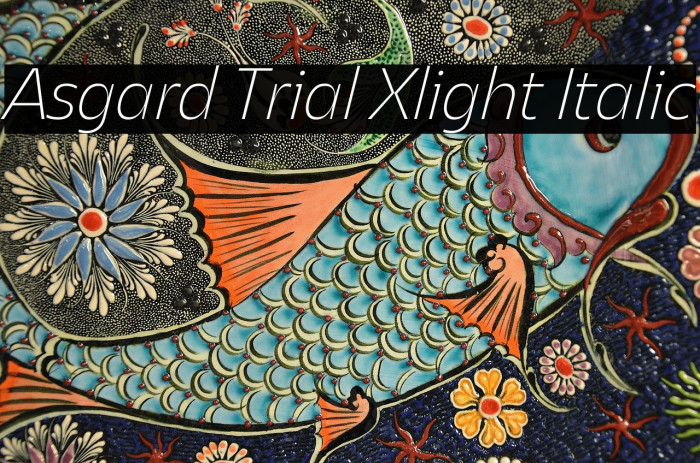 Asgard Trial Xlight Italic Example 1
