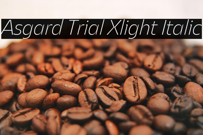 Asgard Trial Xlight Italic Example 2