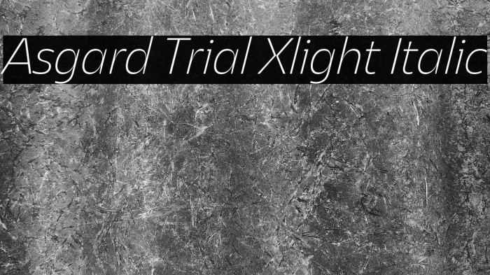 Asgard Trial Xlight Italic Example 3