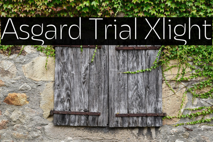 Asgard Trial Xlight Example 1