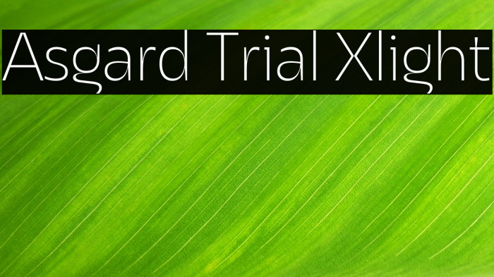 Asgard Trial Xlight Example 2