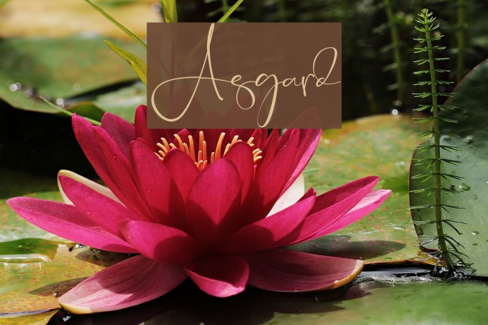 Asgard Font examples