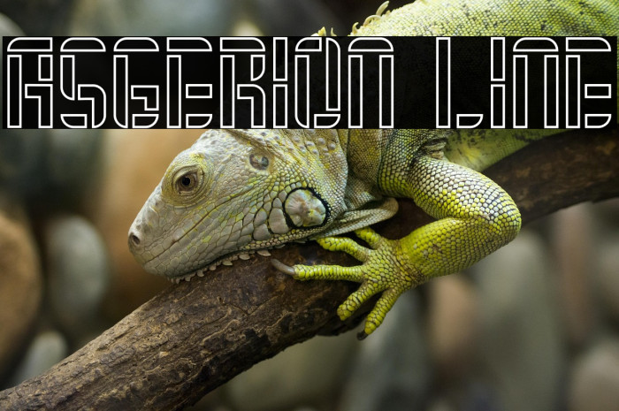 Asgerion Line Example 1