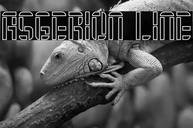 Asgerion Line Font examples