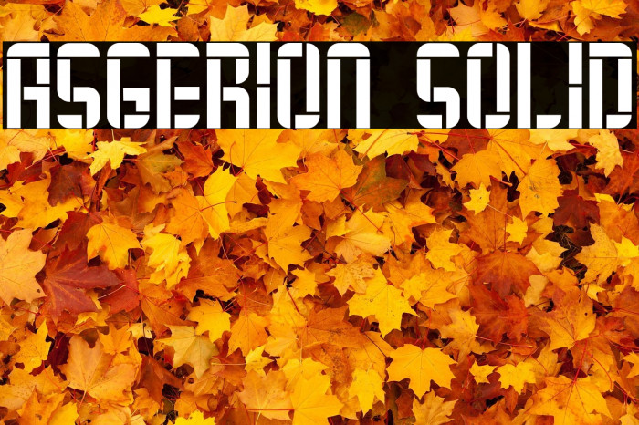 Asgerion Solid Example 1