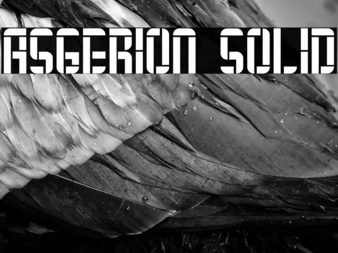 Asgerion Solid Font examples