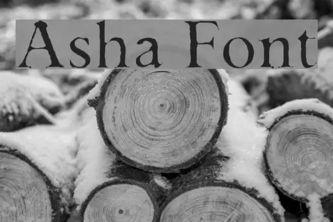 Asha Font examples