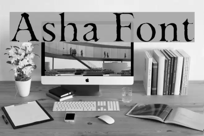Asha Font examples
